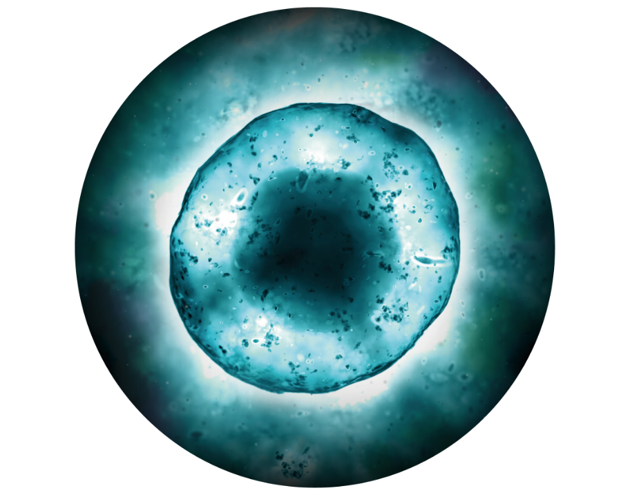 ヒト幹細胞培養液