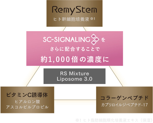 RS Mixture Liposome 3.0　＋　SC-SIGNALING