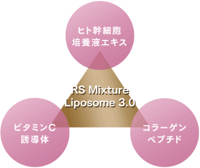 RS Mixture Liposome 3.0とは？